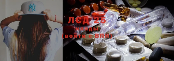 гидра Аркадак