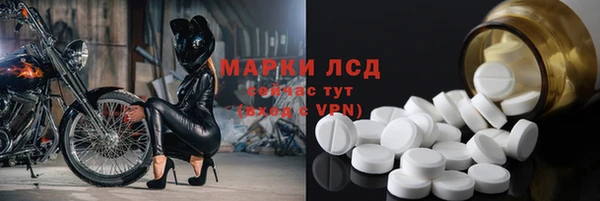 гидра Аркадак