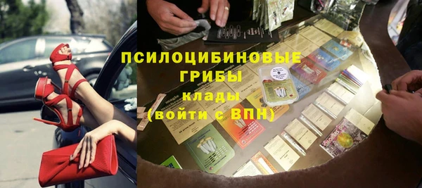 Альфа ПВП Арсеньев