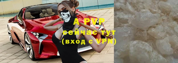 гидра Аркадак
