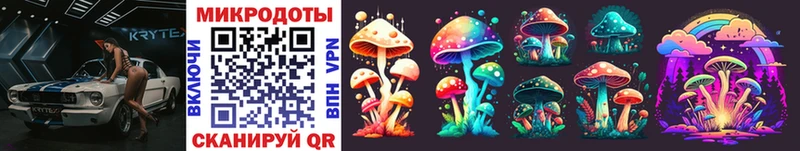 Галлюциногенные грибы Magic Shrooms  МЕГА как войти  Бабаево  купить  